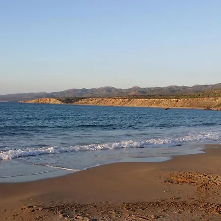 Maya's - Complimentary Airport Transport *